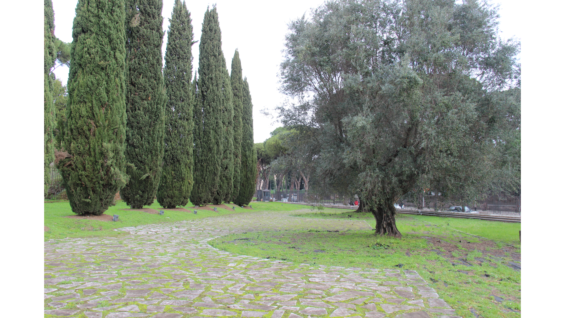 Septizodium : Photo prise à Rome aujourd'hui. Soubassement du Septizodium