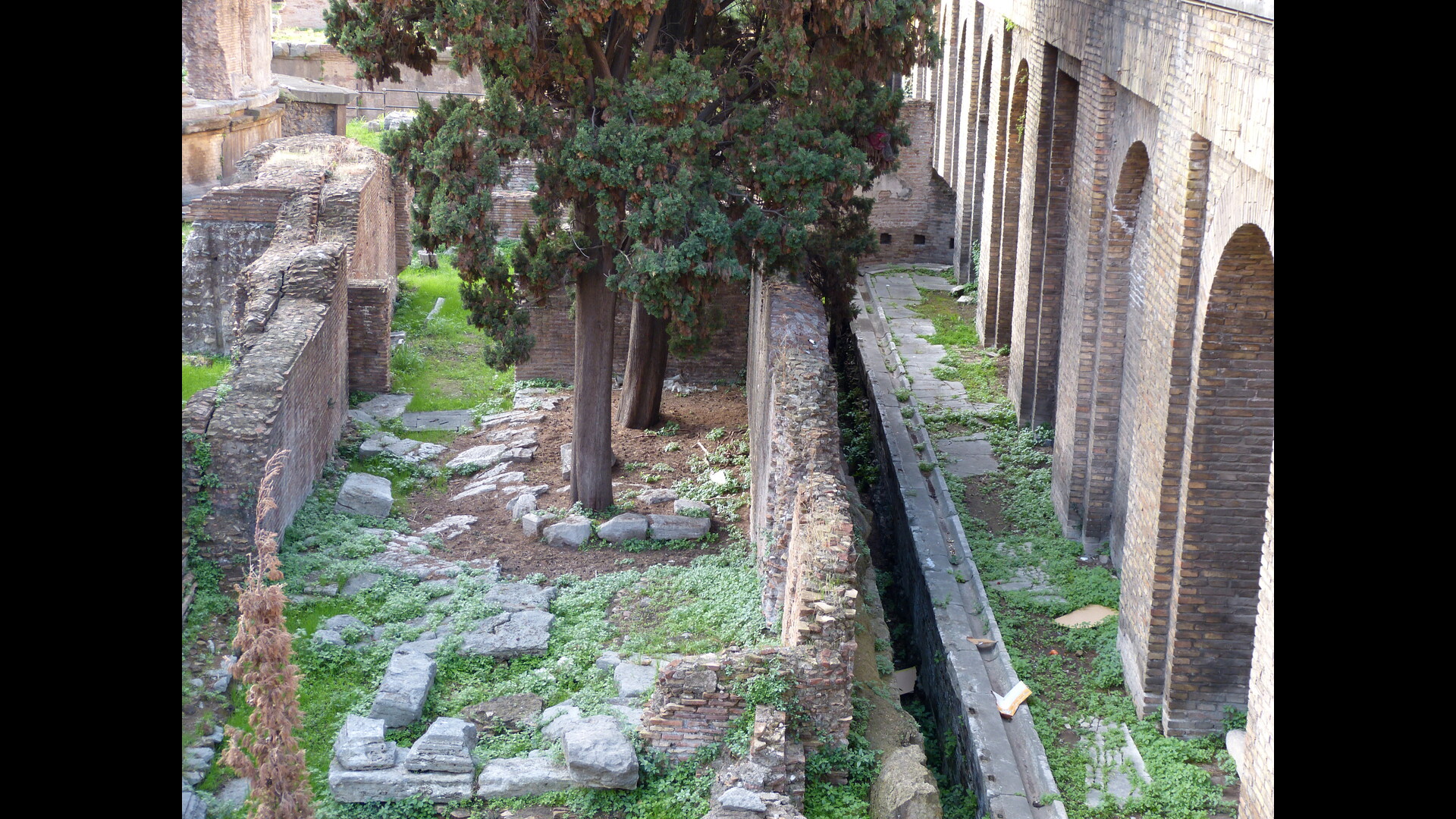 Latrines du théâtre de Pompée : Photo prise à Rome aujourd'hui.