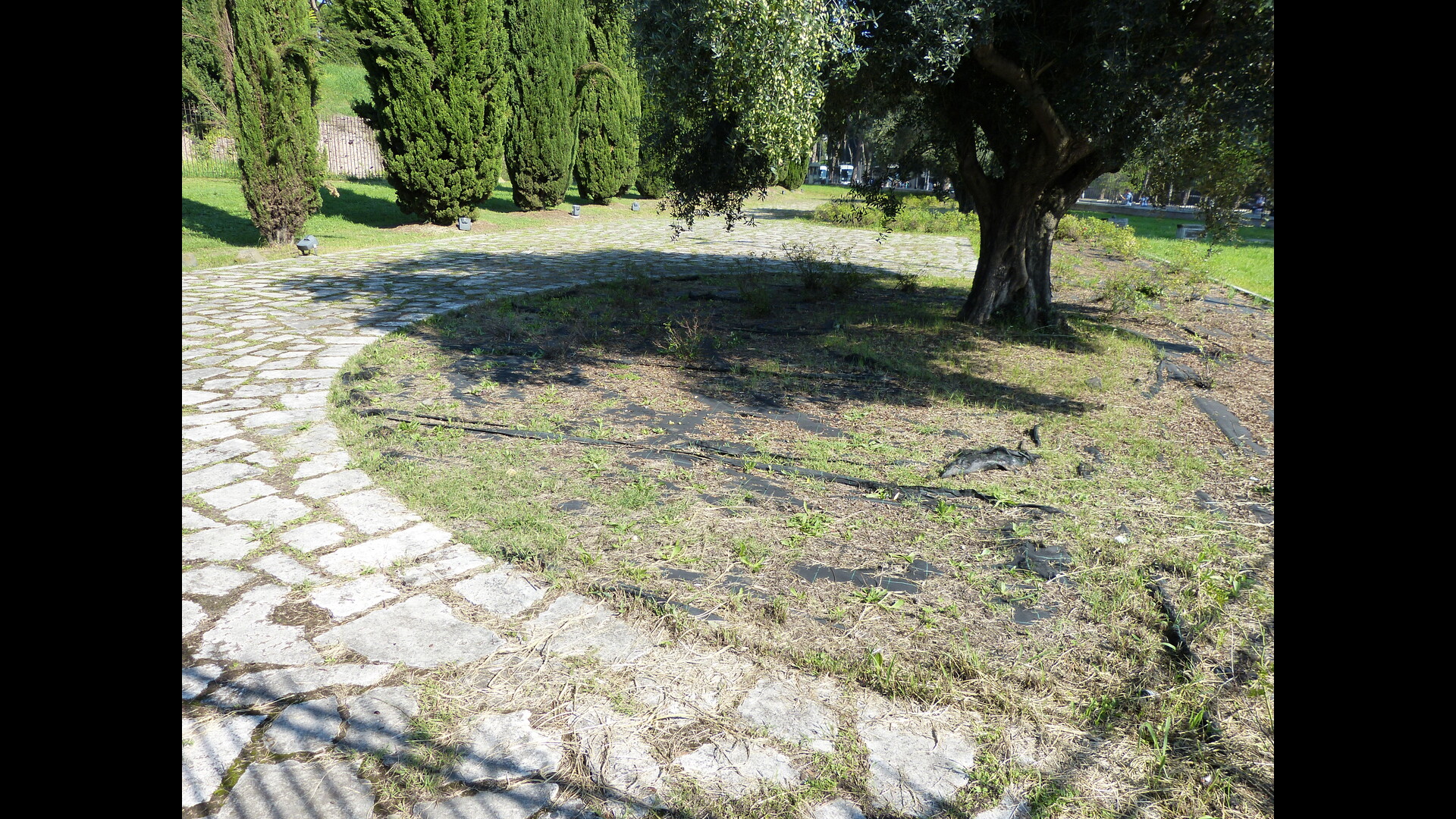 Septizodium : Photo prise à Rome aujourd'hui.