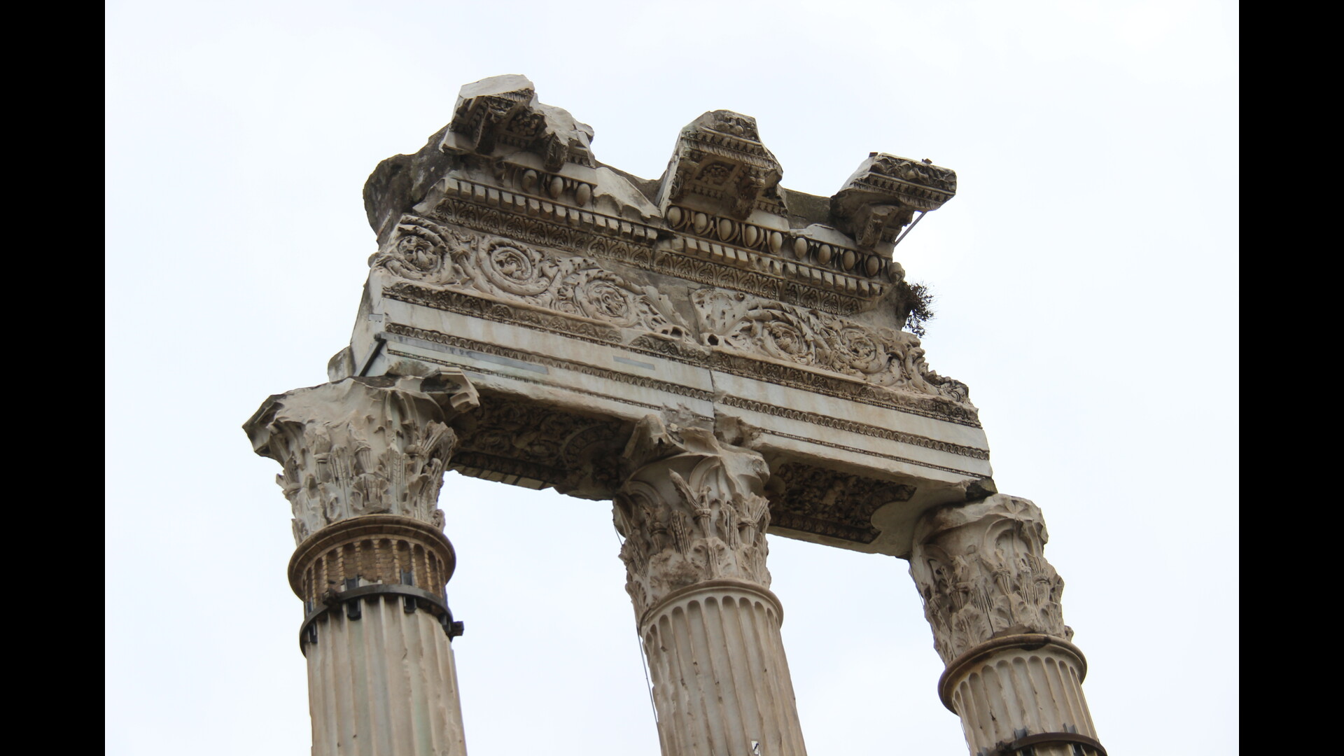 TempleVenusGenitrix : Photo prise à Rome aujourd'hui. Détail de l’entablement du temple de Vénus Genitrix